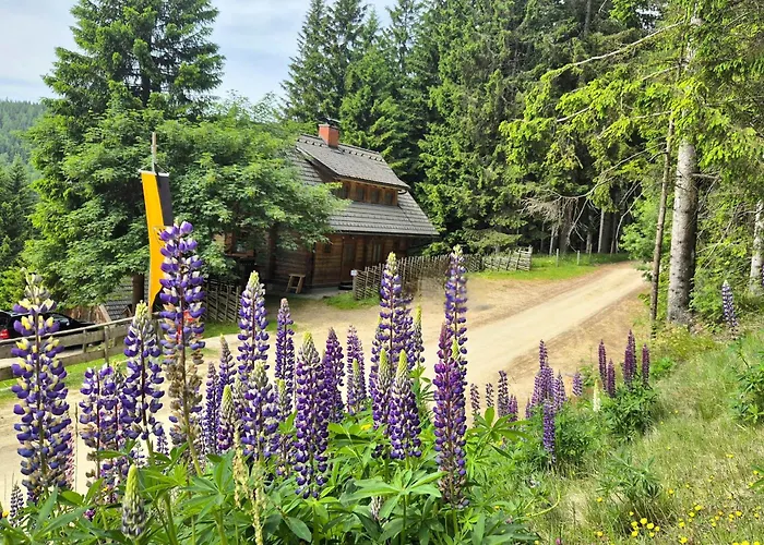 Almliesl Stma-666 Dom wakacyjny *